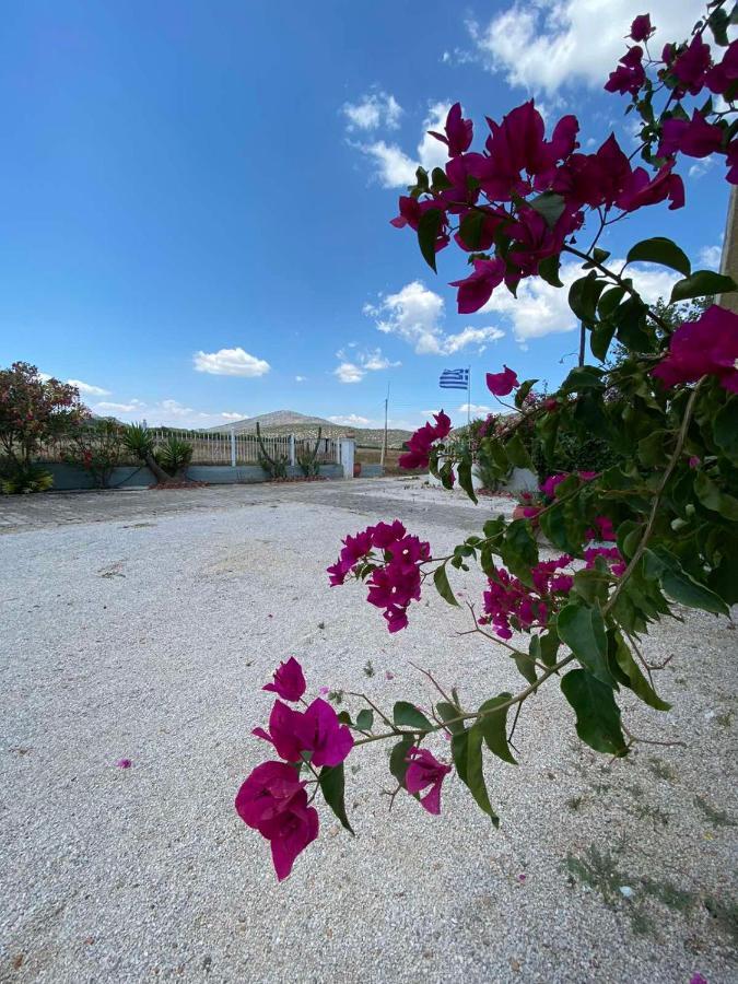 Leonidas Resort Ermioni Exterior photo
